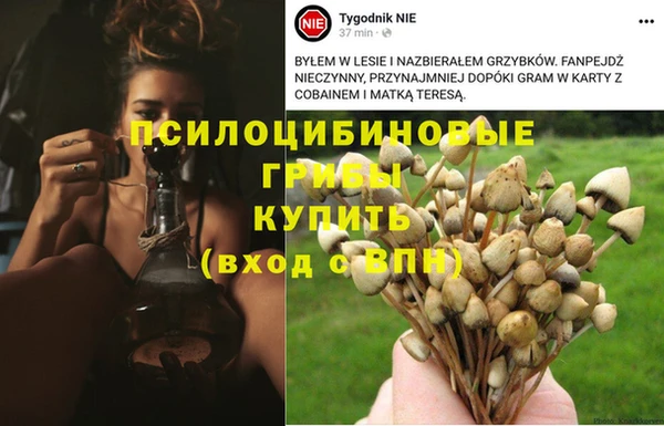 экстази Алексин