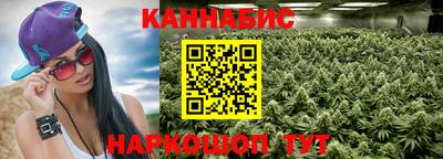mdpv Можга