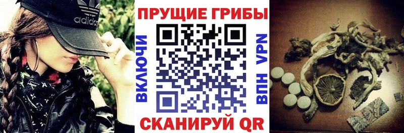 где можно купить наркотик Южно-Сахалинск Псилоцибиновые грибы мухоморы