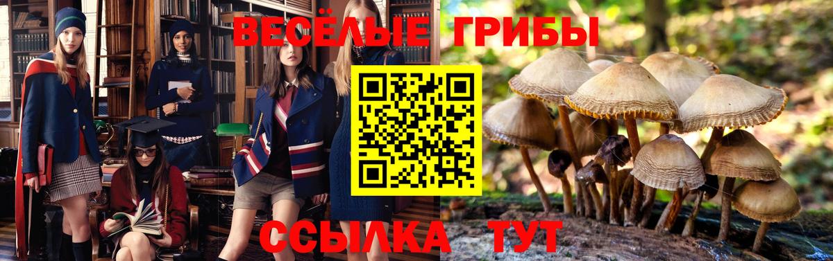 Псилоцибиновые грибы мухоморы  Галлюциногенные грибы GOLDEN TEACHER  Вход с VPN  Южно-Сахалинск 